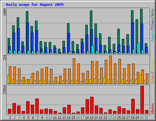 Daily usage for August 2025