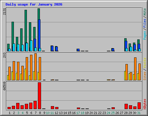 Daily usage for January 2026