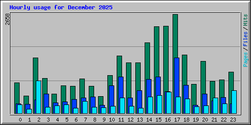 Hourly usage for December 2025
